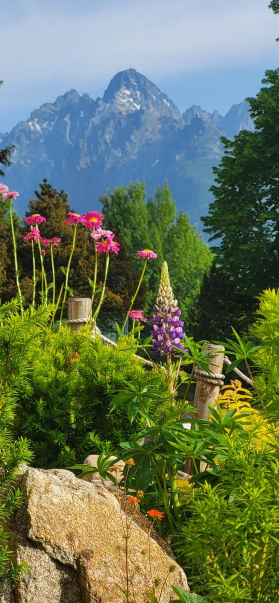 Vila Kollar Vysoké Tatry Habitación foto